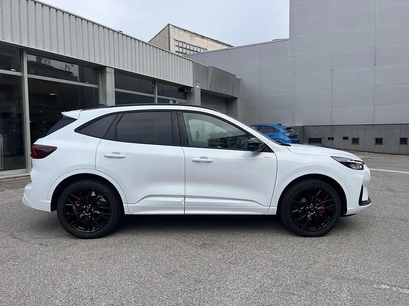 Nuevo Ford Kuga ST-Line 243 CV (178 kW) 2025 Blanco SUV