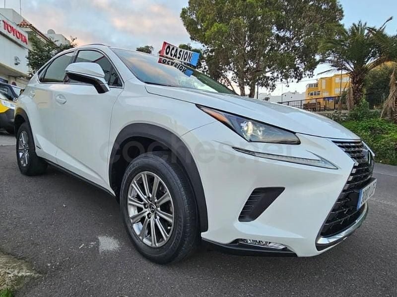 Usado Lexus NX300h Business Edition 197 CV (144 kW) 2019 Blanco SUV