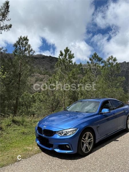 Azul Usado 2016 BMW 430 Gran Coupé Coupe | 25.000 € (Caro) - Imagen 1/4