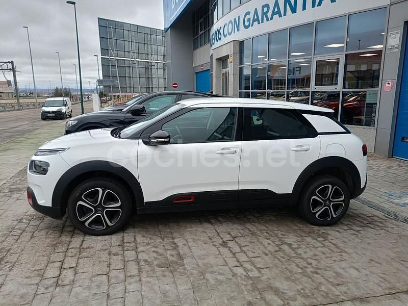 Usado Citroën C4 Cactus Feel 102 CV (75 kW) 2019 Blanco Utilitario