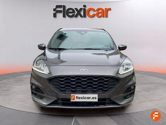 Usado Ford Kuga ST-Line 120 CV (88 kW) 2024 Gris SUV