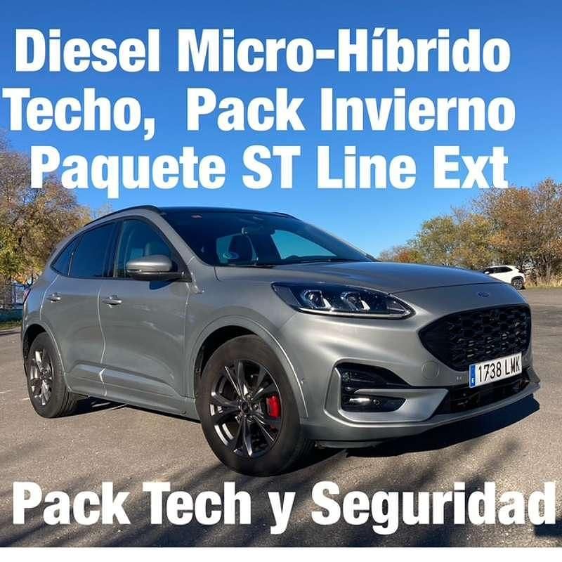 Usado Ford Kuga ST-Line X 150 CV (110 kW) 2021 Plateado SUV