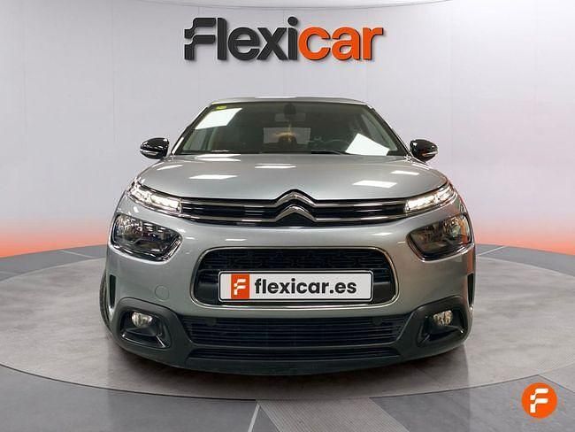 Usado Citroën C4 Cactus Business Class 99 CV (72 kW) 2018 Gris Utilitario