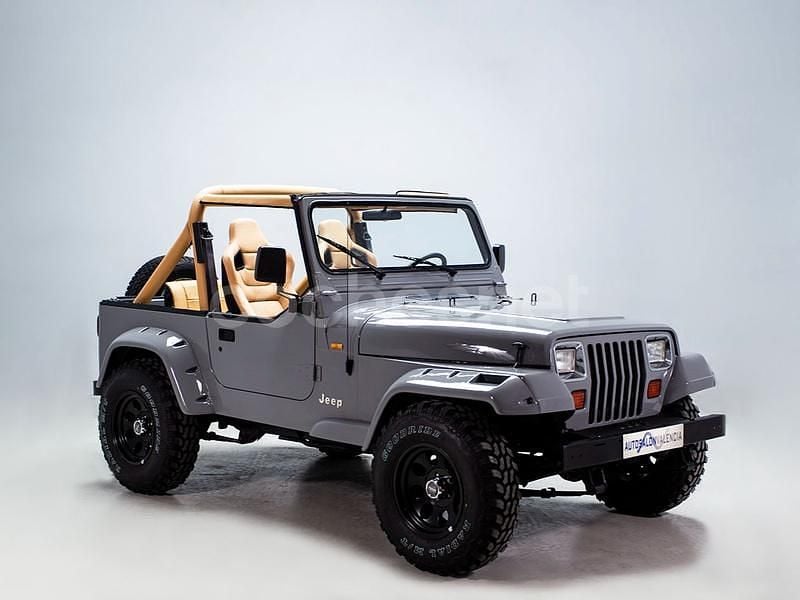 Usado Jeep Wrangler 121 CV (88 kW) 1991 Gris SUV