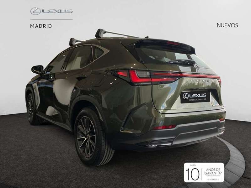 Nuevo Lexus NX350h 242 CV (177 kW) 2025 Verde SUV