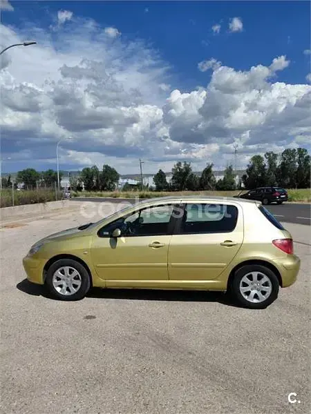Usado Peugeot 307 110 CV (80 kW) 2001 Amarillo Utilitario