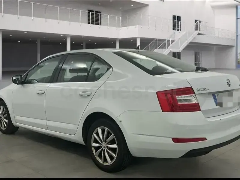 Usado Skoda Octavia GreenLine 110 CV (80 kW) 2016 Blanco Familiar