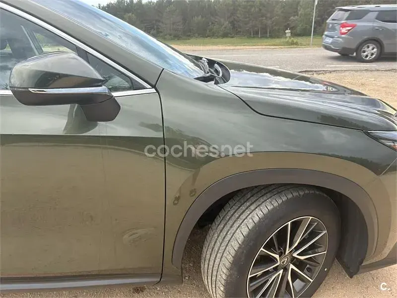 Usado Lexus NX350h 242 CV (177 kW) 2024 Verde SUV