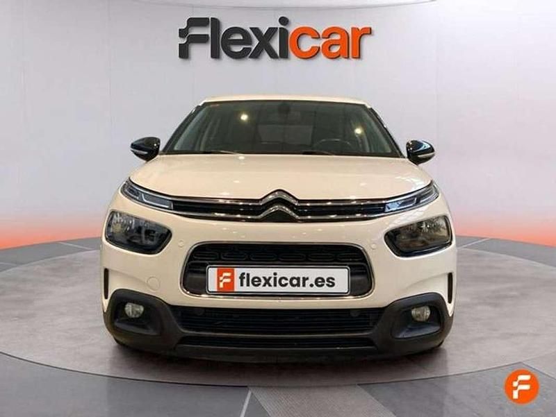 Usado Citroën C4 Cactus Business Class 99 CV (72 kW) 2019 Blanco Utilitario