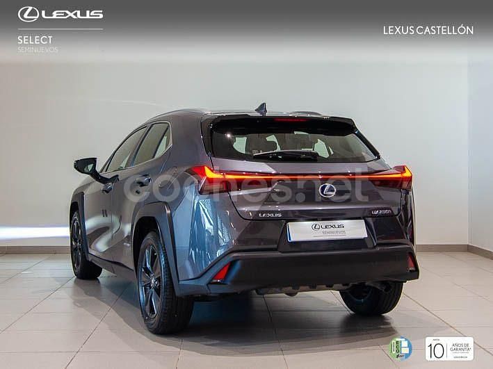 Usado Lexus UX Business Edition 184 CV (135 kW) 2022 Gris / plata SUV