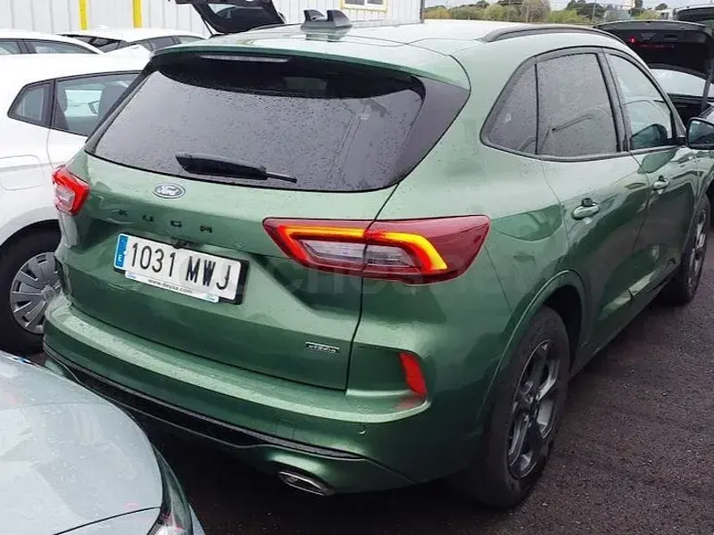 Usado Ford Kuga ST-Line 243 CV (178 kW) 2024 Verde SUV