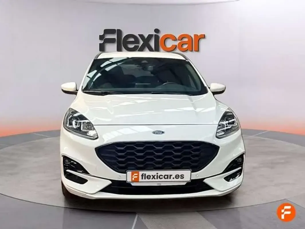 Usado Ford Kuga ST-Line 226 CV (166 kW) 2024 Blanco SUV