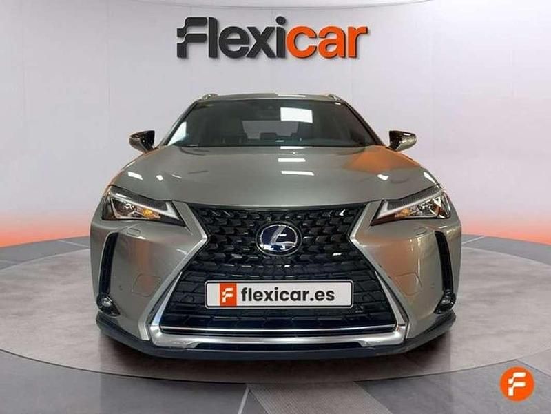 Usado Lexus UX 250h Business Edition 184 CV (135 kW) 2020 Beige SUV