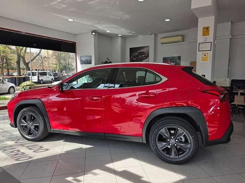 Usado Lexus UX 250h Business Edition 184 CV (135 kW) 2023 Rojo SUV