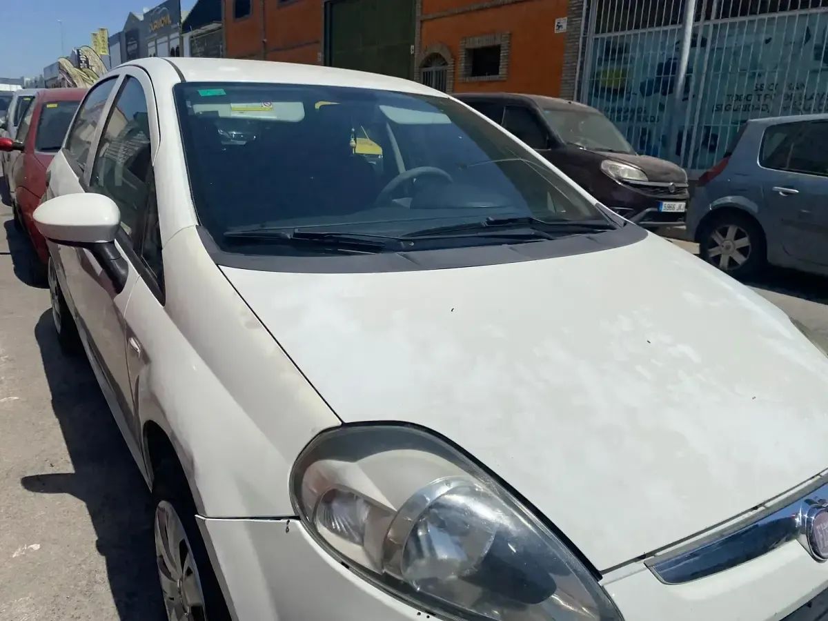 Usado Fiat Punto Evo Dynamic 90 CV (66 kW) 2010 Blanco Utilitario