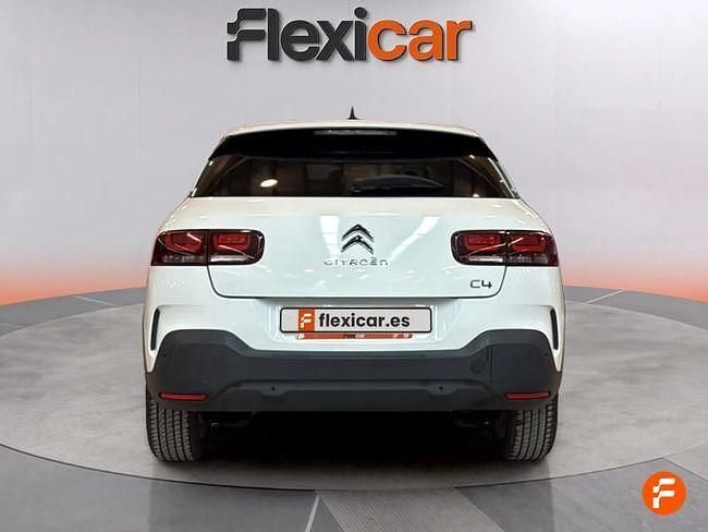 Usado Citroën C4 Cactus Feel 99 CV (72 kW) 2019 Blanco Utilitario