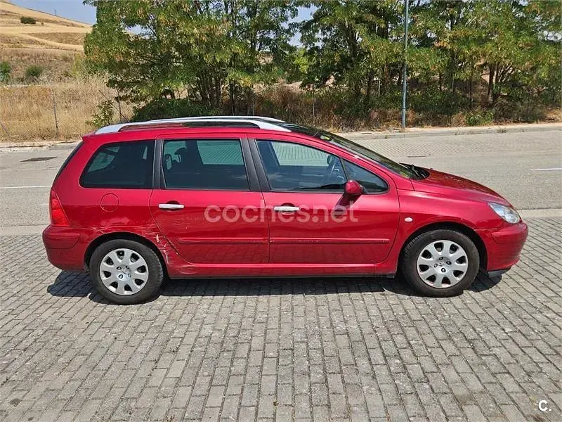 Usado Peugeot 307 110 CV (80 kW) 2004 Granate Familiar