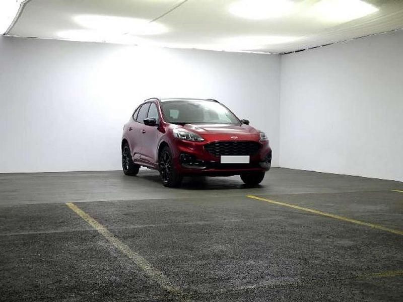 Usado Ford Kuga ST-Line X 226 CV (166 kW) 2023 Rojo SUV