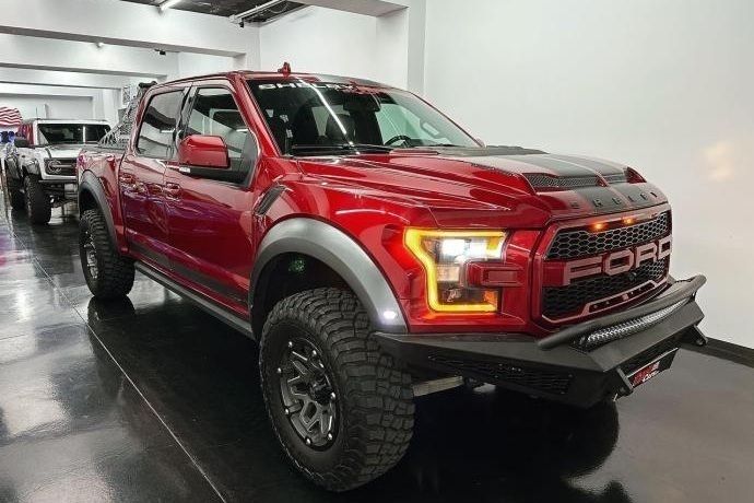 Usado Ford Shelby 525 CV (386 kW) 2019 Berlina