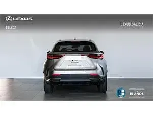 Usado Lexus NX450h+ 292 CV (214 kW) 2026 Gris SUV