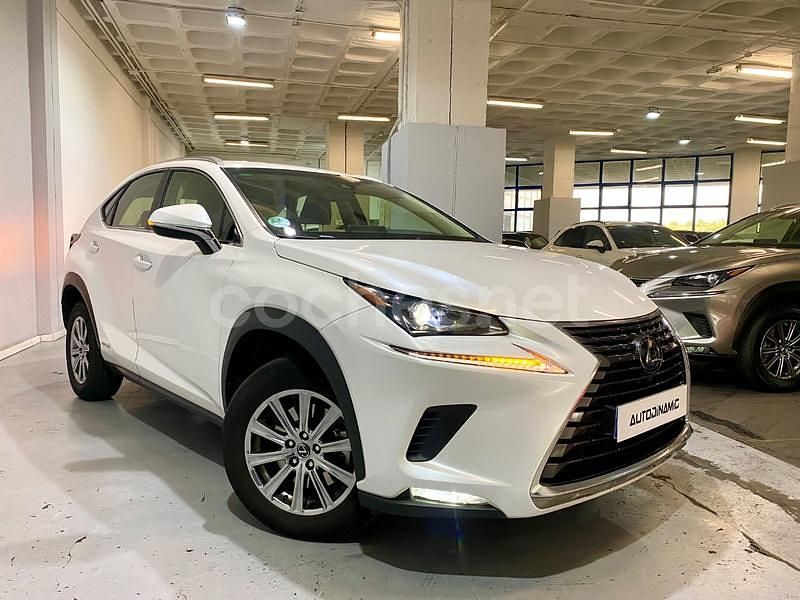 Usado Lexus NX300h Business Edition 197 CV (144 kW) 2019 Blanco SUV