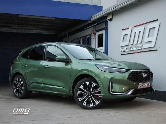 Usado Ford Kuga ST-Line X 243 CV (178 kW) 2024 Verde SUV