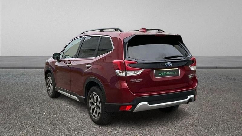 Usado Subaru Forester 150 CV (110 kW) 2019 Rojo SUV