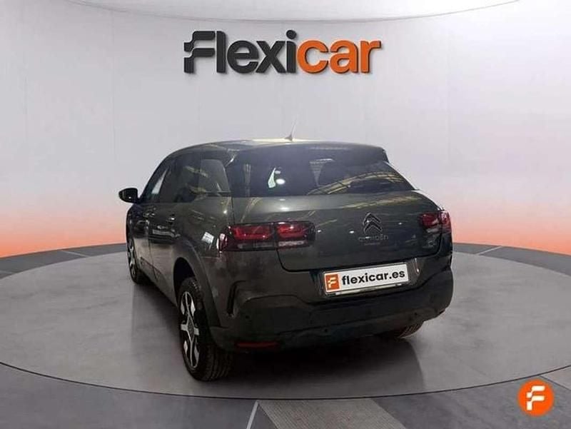 Usado Citroën C4 Cactus Shine 102 CV (75 kW) 2019 Gris Utilitario