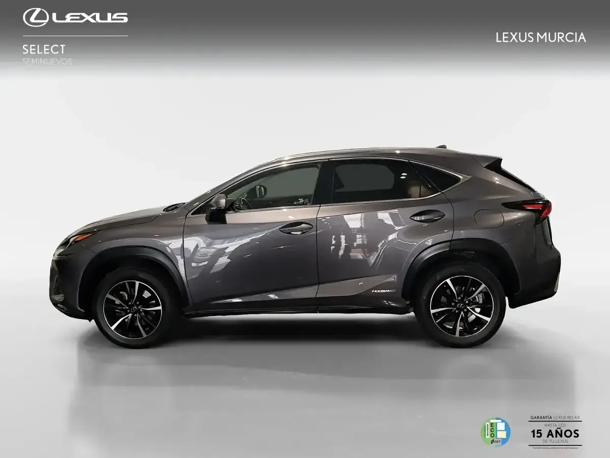 Usado Lexus NX300h 197 CV (144 kW) 2018 Gris SUV