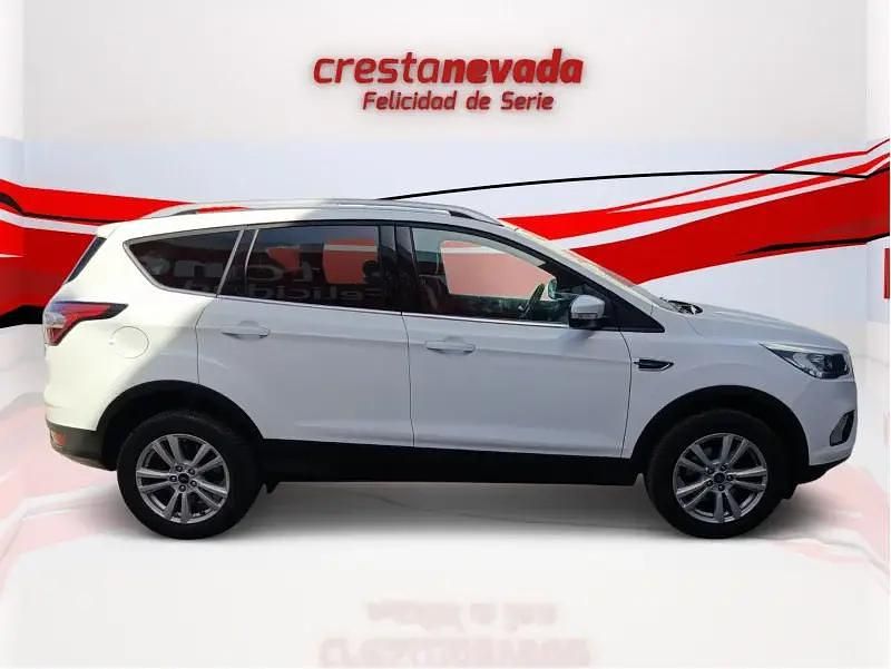 Usado Ford Kuga Trend 120 CV (88 kW) 2019 SUV