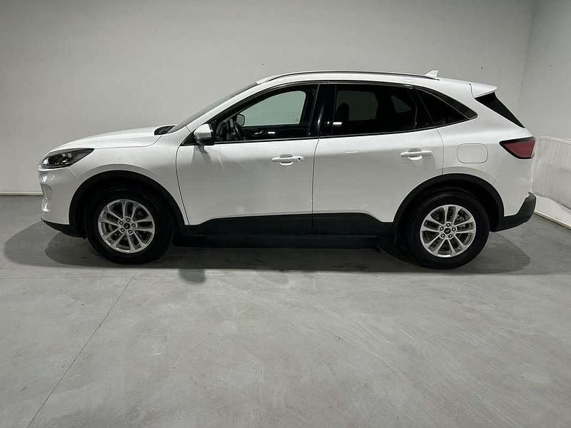 Usado Ford Kuga ST-Line X 150 CV (110 kW) 2023 Blanco SUV