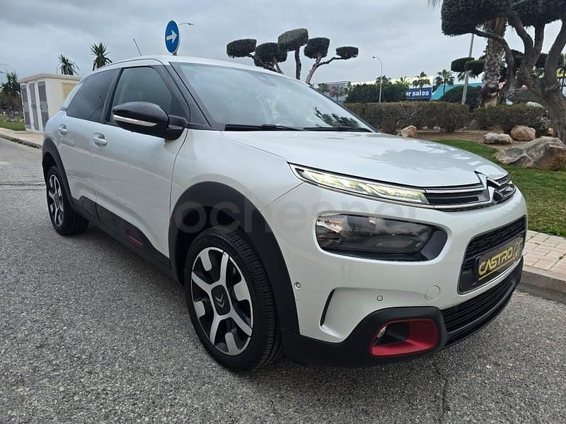 Usado Citroën C4 Cactus Shine 102 CV (75 kW) 2019 Blanco Utilitario