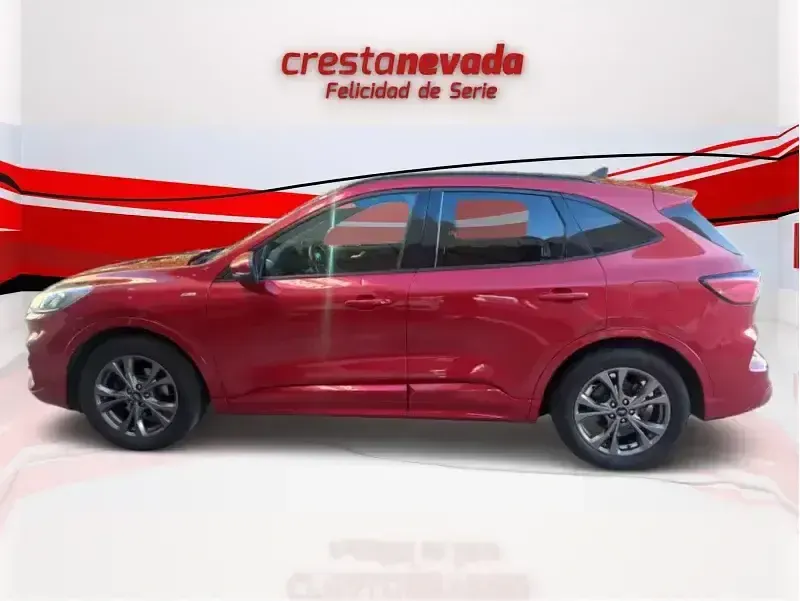 Usado Ford Kuga ST-Line 151 CV (111 kW) 2022 Rojo SUV