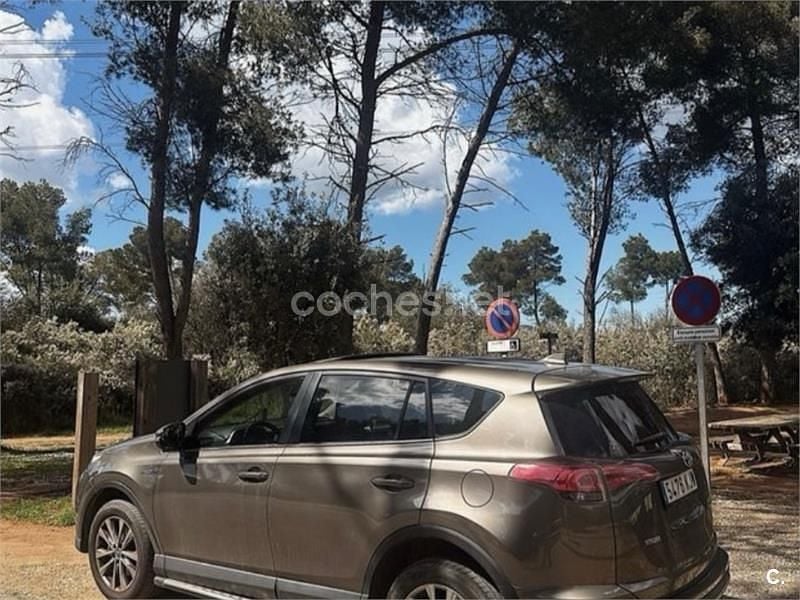 Usado Toyota RAV4 Hybrid Executive 197 CV (144 kW) 2018 Marrón SUV