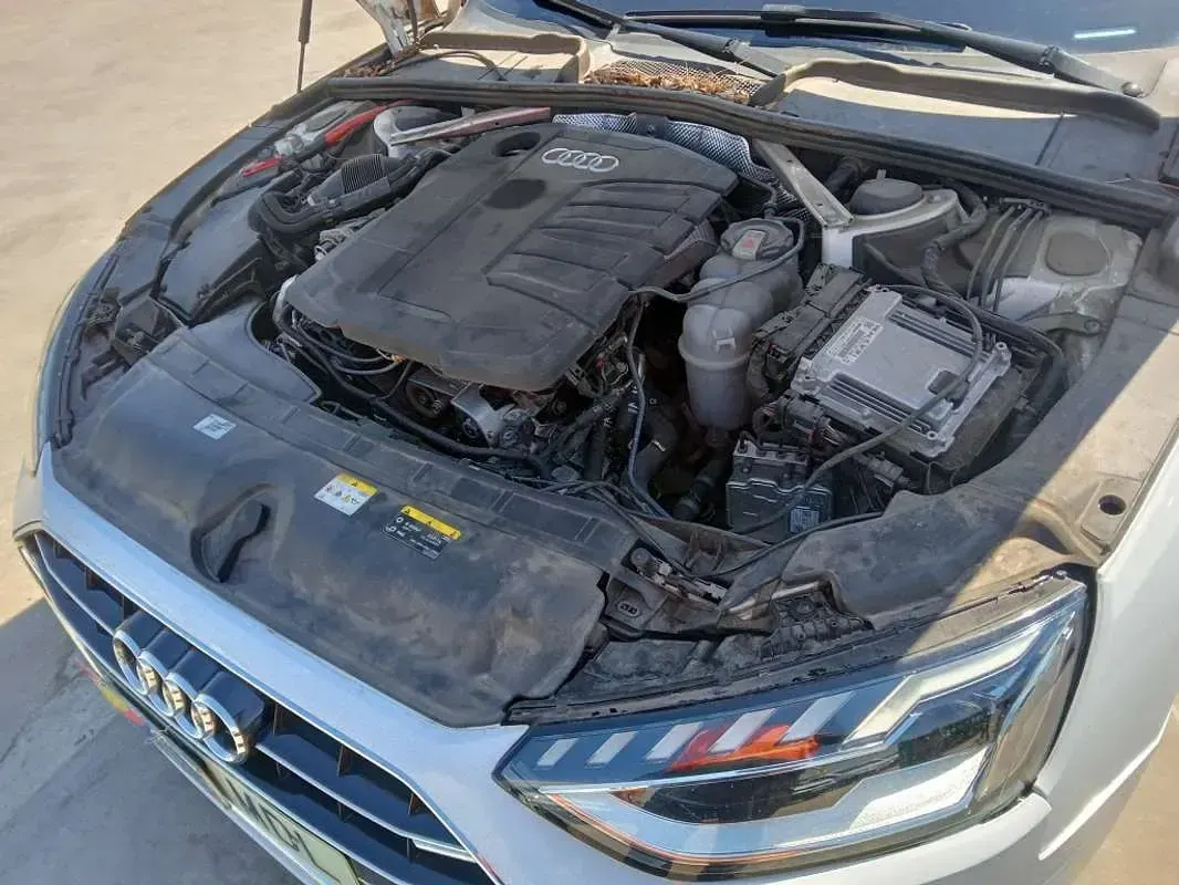 Usado Audi A4 Advanced 163 CV (119 kW) 2023 Blanco Familiar
