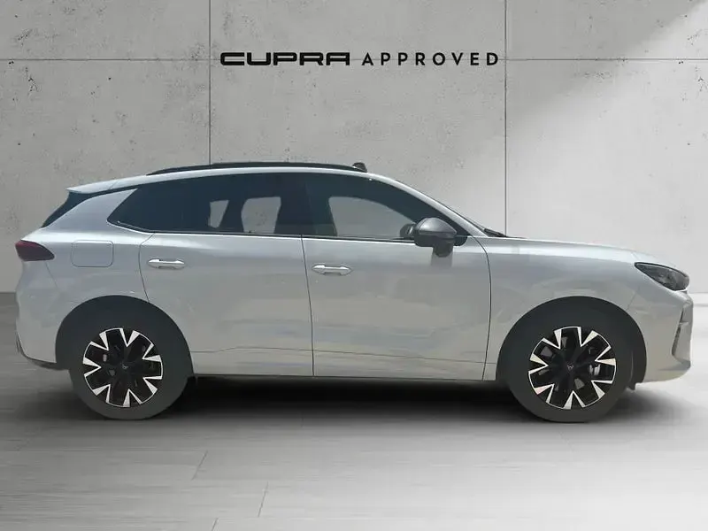 Usado Cupra Terramar 204 CV (150 kW) 2025 Blanco SUV