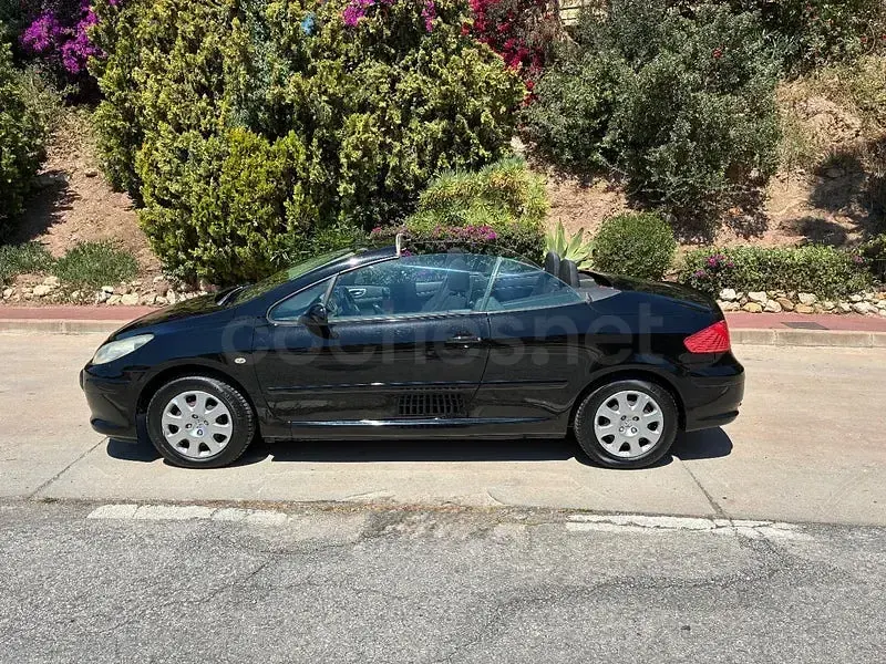 Usado Peugeot 307 CC 110 CV (80 kW) 2006 Negro Descapotable