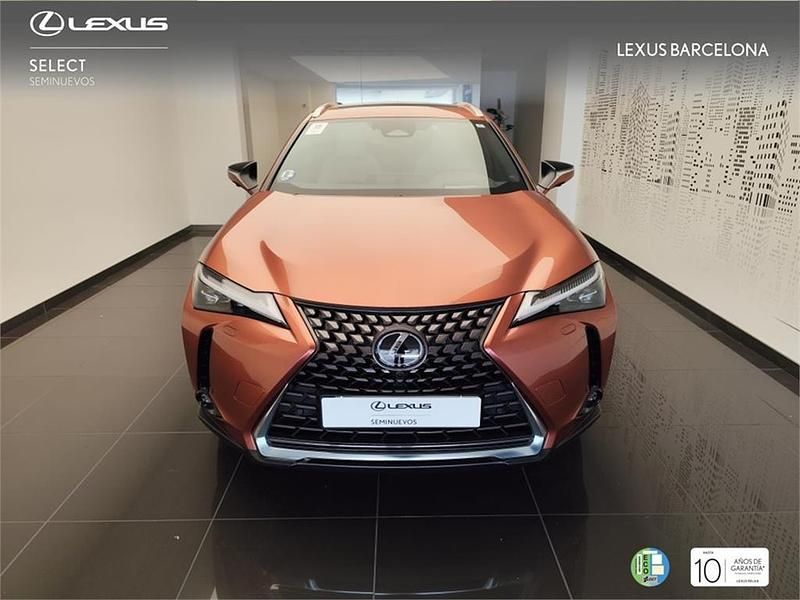 Nuevo Lexus UX 300h 199 CV (146 kW) 2025 Otro SUV