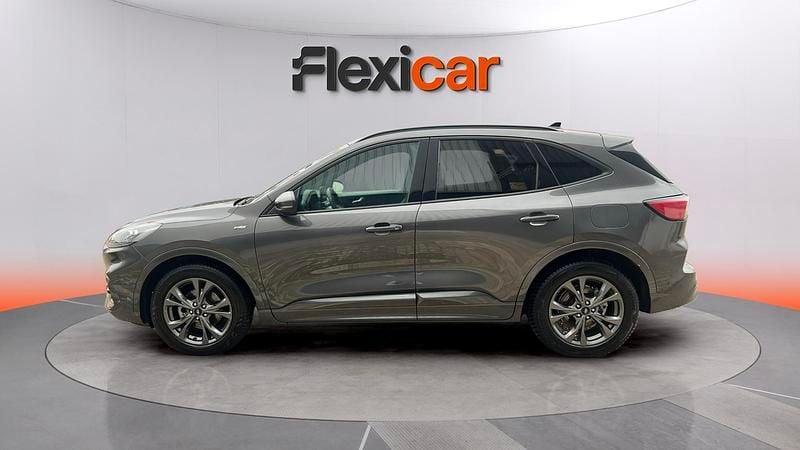 Usado Ford Kuga ST-Line 150 CV (110 kW) 2020 Gris SUV