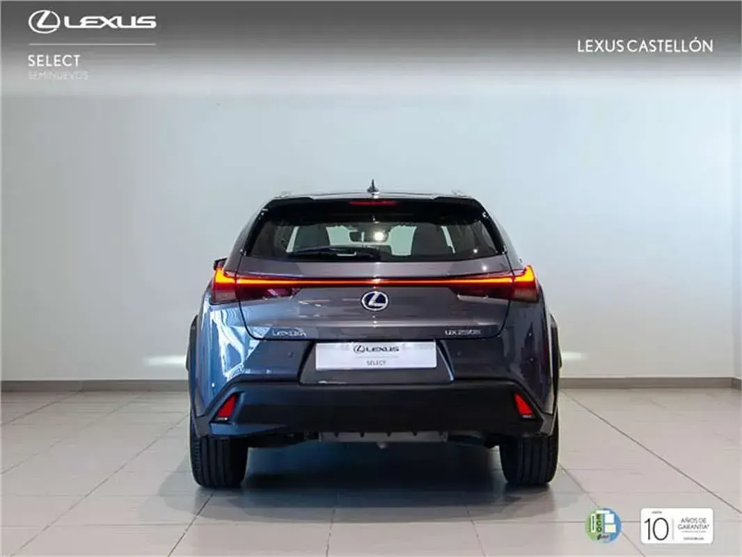 Usado Lexus UX 250h 184 CV (135 kW) 2022 SUV