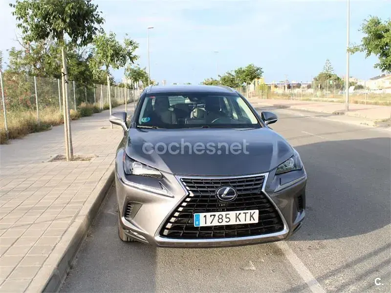 Usado Lexus NX300h Business Edition 197 CV (144 kW) 2019 Gris / plata SUV