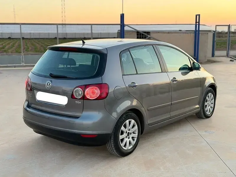 Usado VW Golf Plus Cross Highline 105 CV (77 kW) 2007 Beige Monovolumen