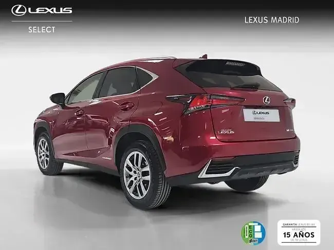 Usado Lexus NX300h Executive Line 197 CV (144 kW) 2020 Rojo SUV