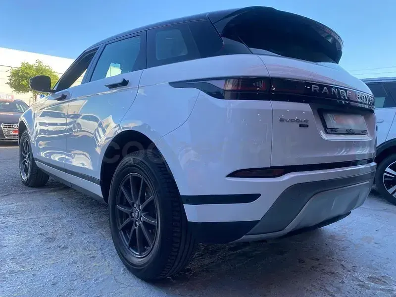 Occasion Land Rover Range Rover evoque 150 PK (110 kW) 2020 Wit SUV