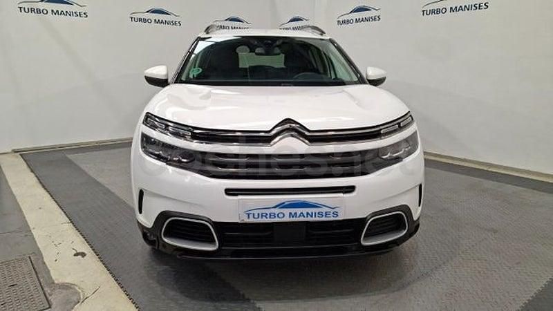 Usado Citroën C5 Aircross Feel 131 CV (96 kW) 2022 Blanco SUV