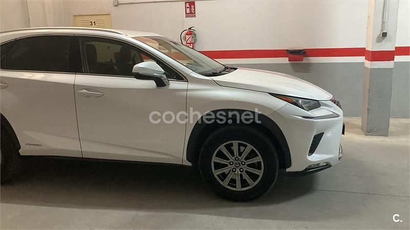 Usado Lexus NX300h Business Edition 197 CV (144 kW) 2019 Blanco SUV