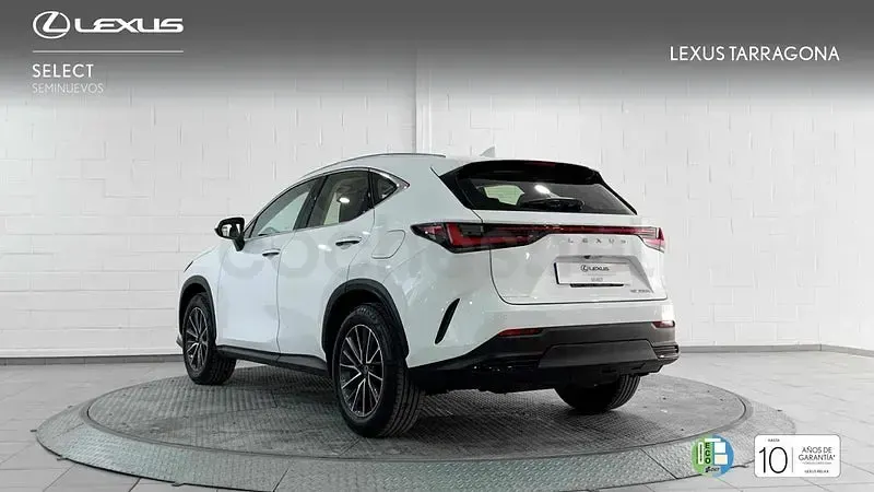 Usado Lexus NX350h 197 CV (144 kW) 2026 Blanco SUV