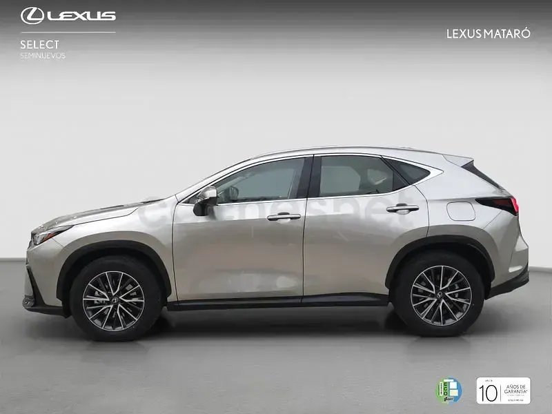 Nuevo Lexus NX350h 197 CV (144 kW) 2025 Gris / plata SUV
