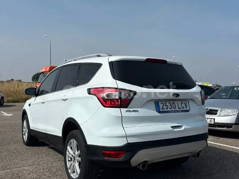 Usado Ford Kuga Trend 120 CV (88 kW) 2019 Blanco SUV