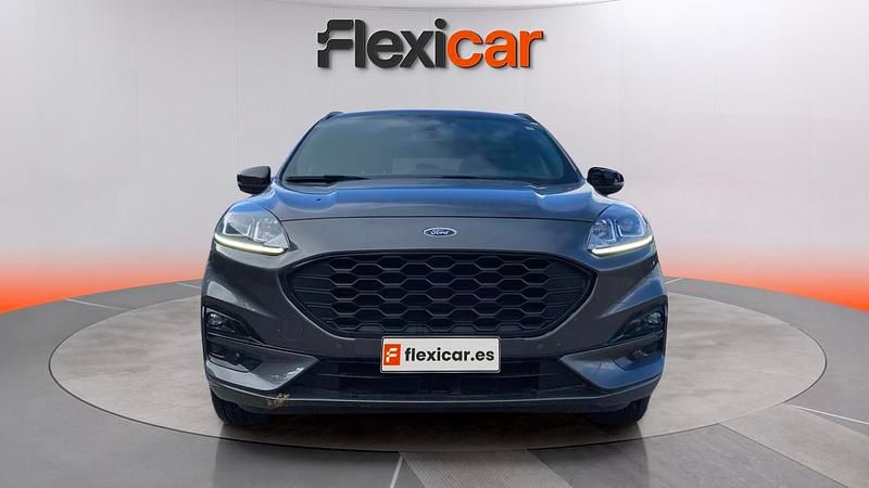 Usado Ford Kuga ST-Line 120 CV (88 kW) 2024 Gris SUV